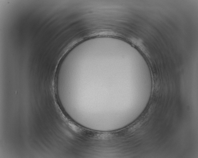 X0000073411282200608181046