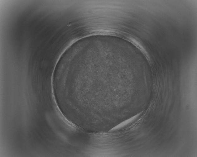 X0000073411283200608181046