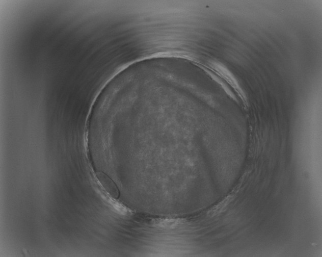 X0000073411284200608181046