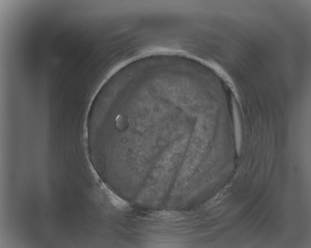 X0000073411287200608181045