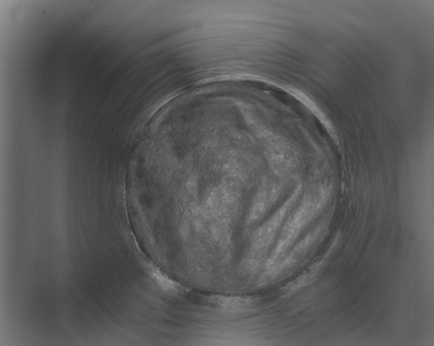 X0000073411289200608181045