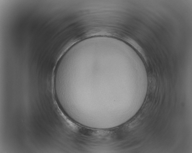 X0000073411290200608181045