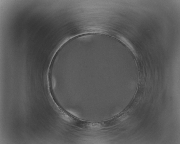 X0000073411291200608181045