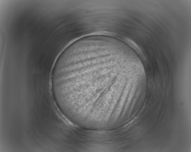 X0000073411292200608181045