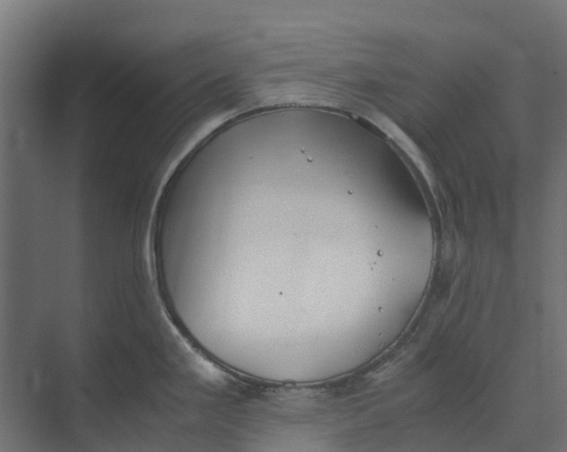 X0000073411293200608181045