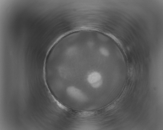 X0000073411294200608181045