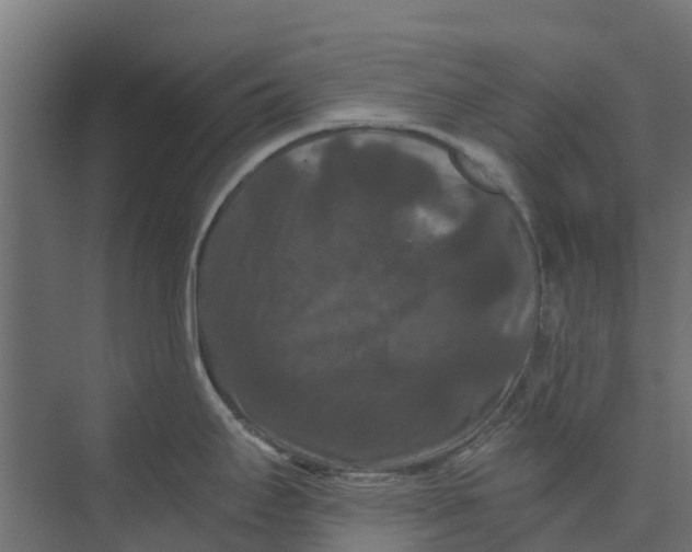 X0000073411295200608181045