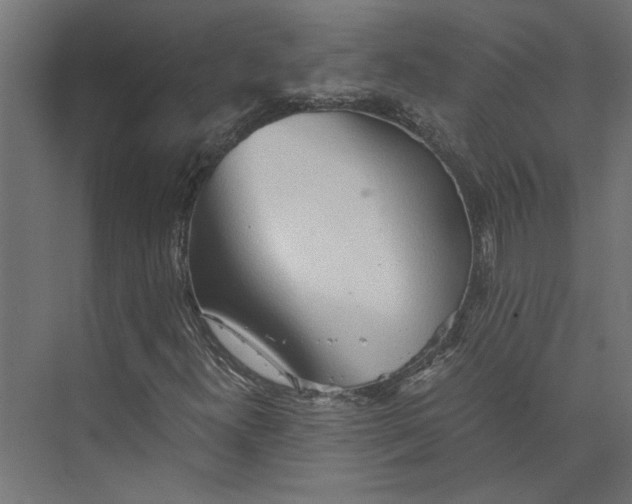 X0000073411300200608181045