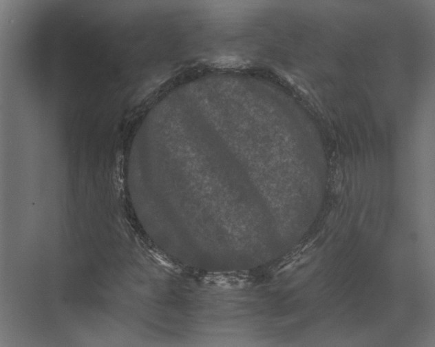 X0000073411301200608181045