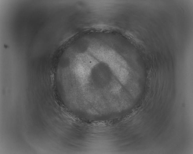 X0000073411302200608181045