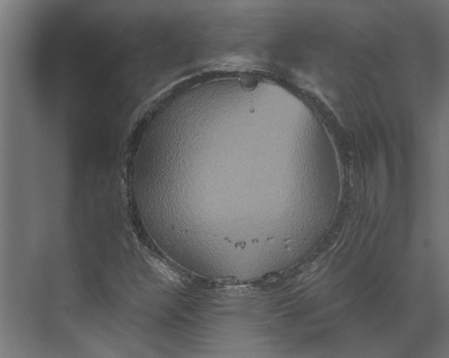 X0000073411304200608181045