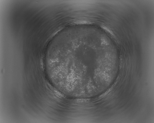 X0000073411305200608181045