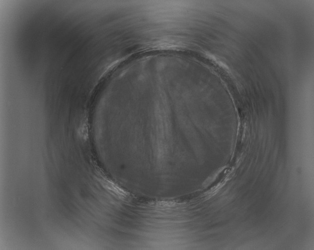 X0000073411306200608181045