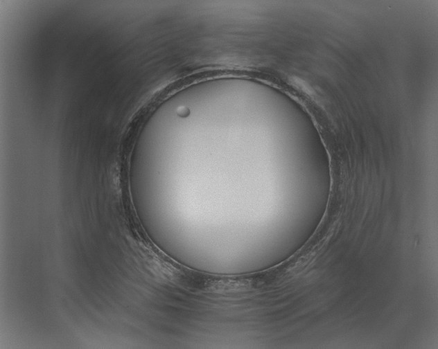 X0000073411307200608181045