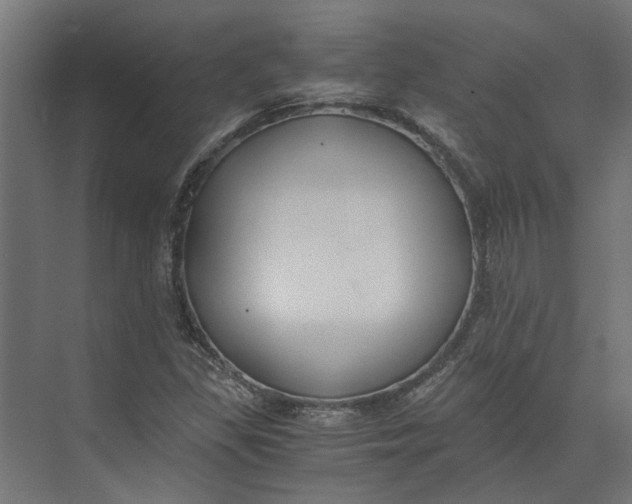 X0000073411309200608181045