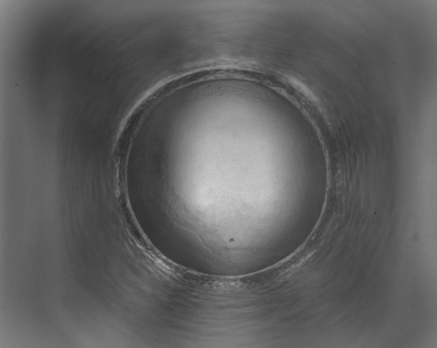 X0000073411310200608181045