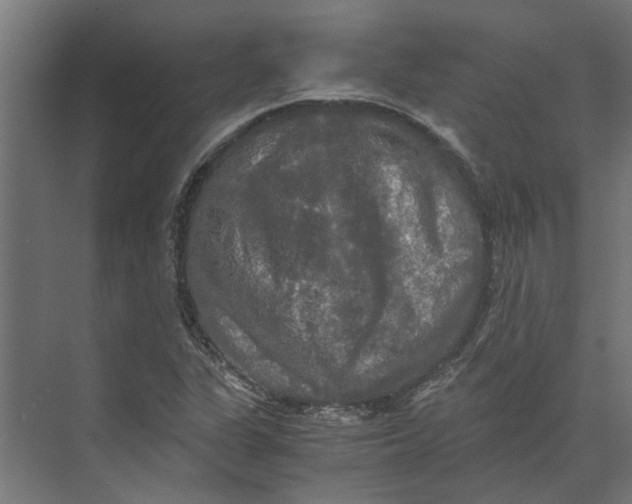 X0000073411311200608181045