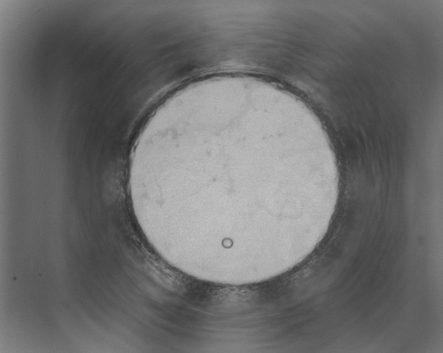 X0000073411314200608181045