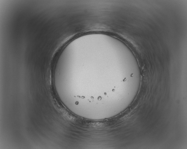 X0000073411317200608181045