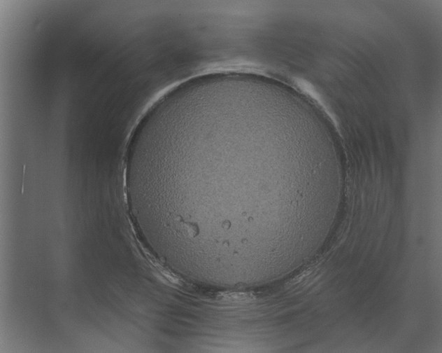 X0000073411320200608181045