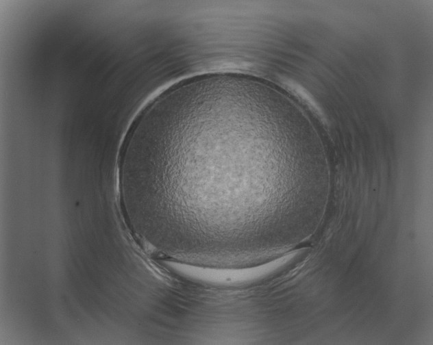 X0000073411324200608181045