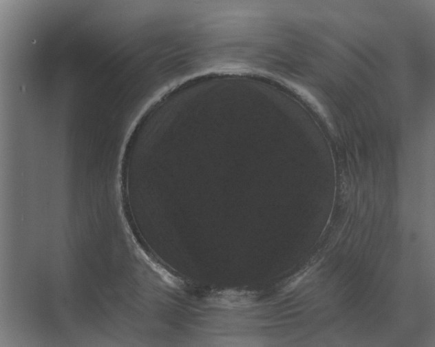 X0000073411327200608181045