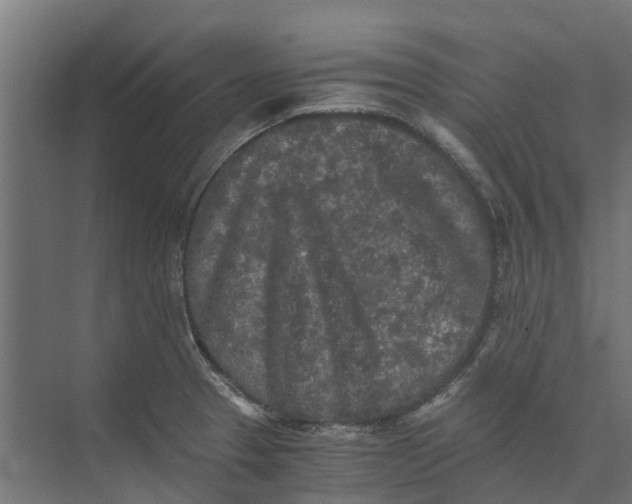 X0000073411329200608181045