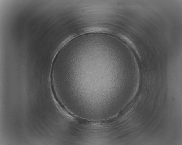 X0000073411330200608181045