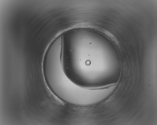 X0000073411334200608181045