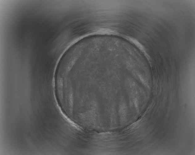 X0000073411335200608181045