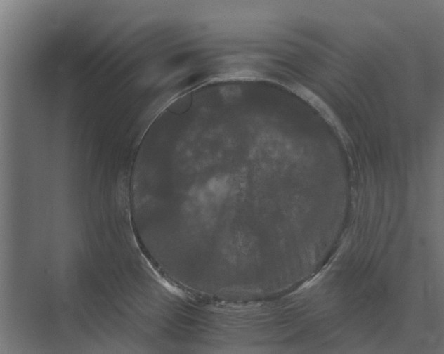 X0000073411337200608181045