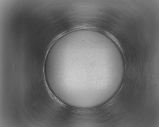 X0000073411338200608181045