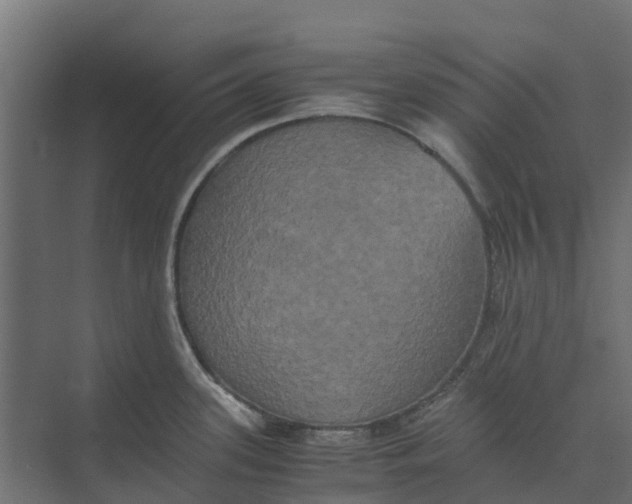 X0000073411339200608181045