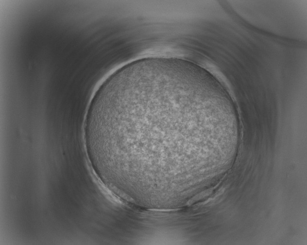 X0000073411344200608181045