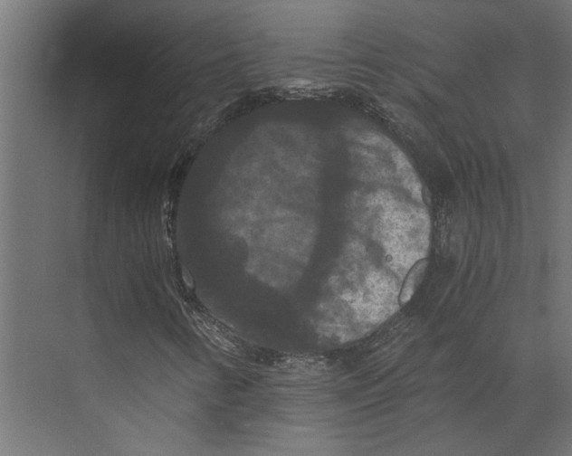 X0000073411346200608181044