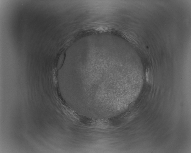 X0000073411347200608181044