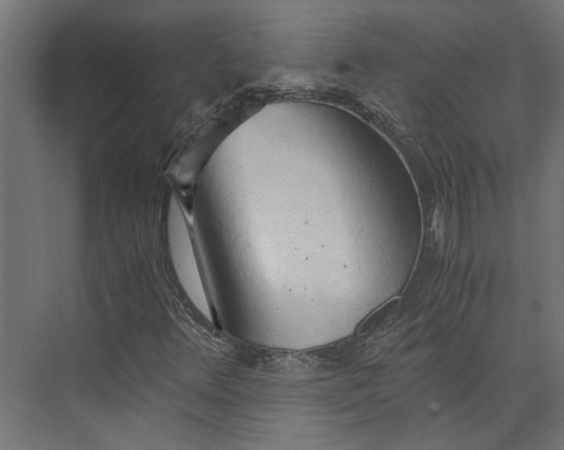 X0000073411348200608181044