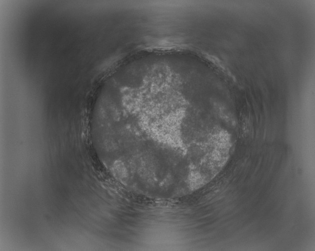 X0000073411350200608181044