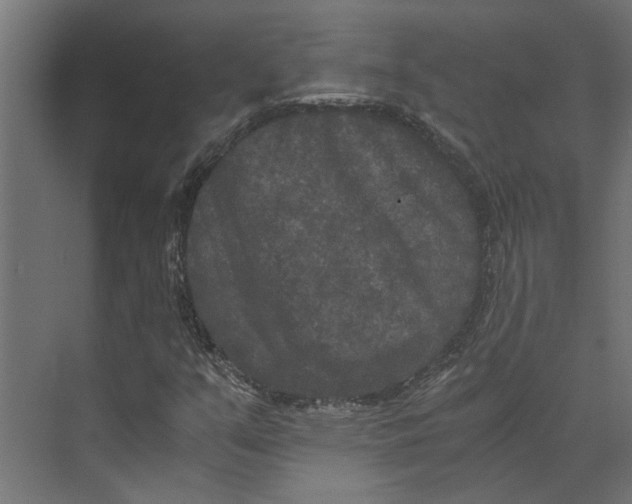 X0000073411351200608181044