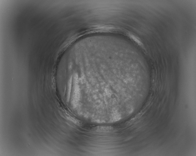 X0000073411354200608181044