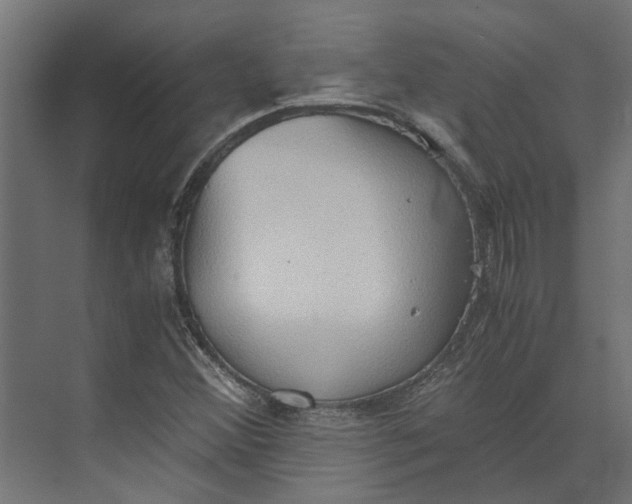 X0000073411356200608181044