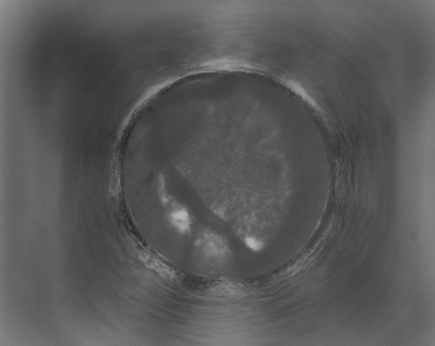 X0000073411358200608181044