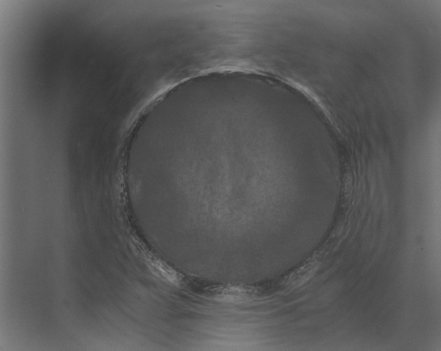 X0000073411359200608181044