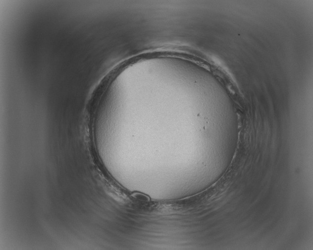 X0000073411360200608181044