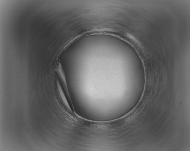 X0000073411361200608181044