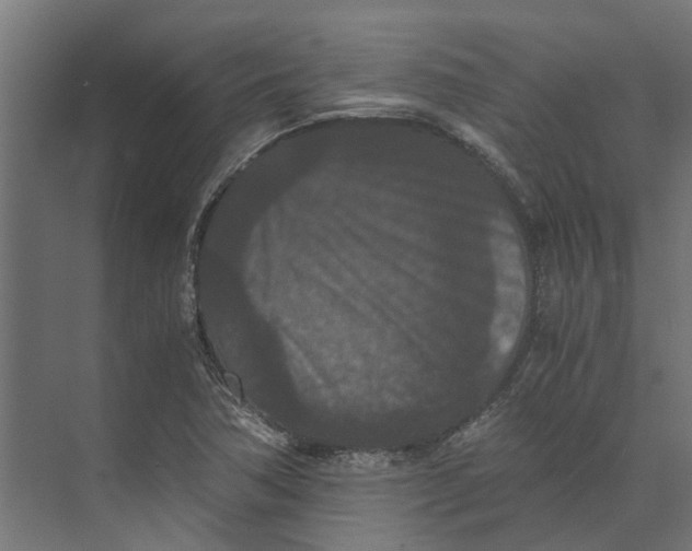 X0000073411362200608181044