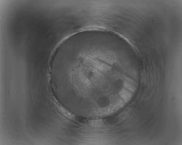 X0000073411363200608181044