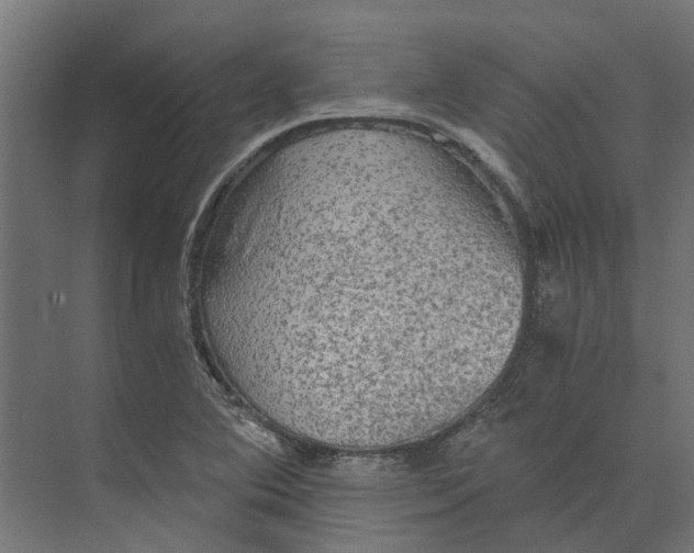 X0000073411364200608181044