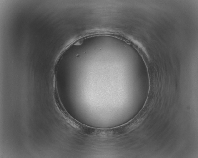 X0000073411365200608181044