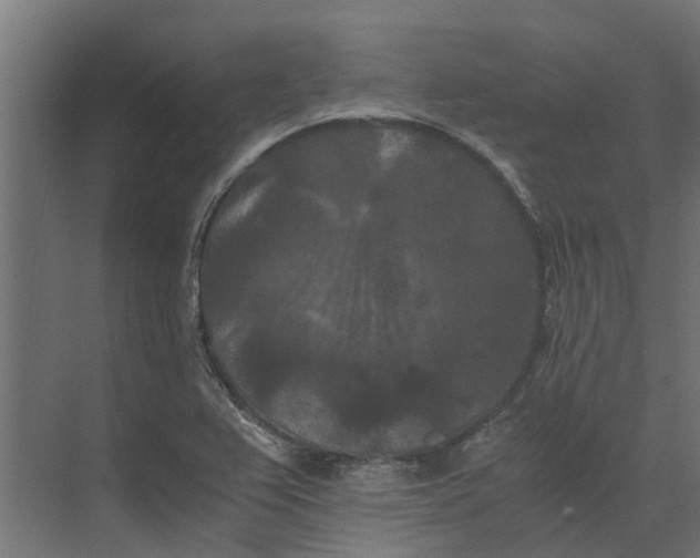 X0000073411367200608181044